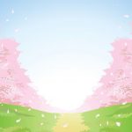 関東の桜の名所ランキングのベスト５！おすすめポイント紹介